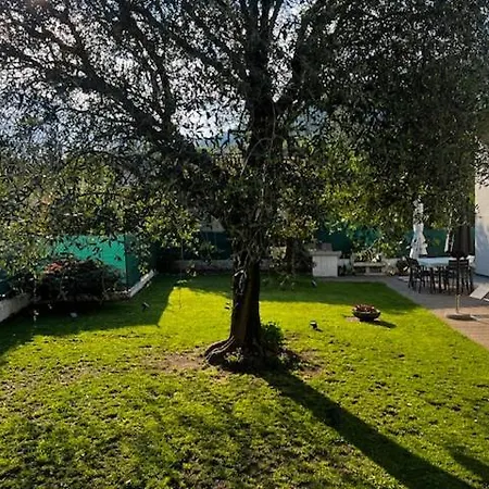 Bed and Breakfast La Corte Di Bacco